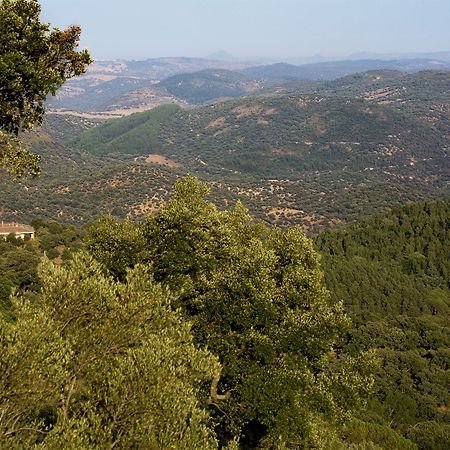 Rusticae Finca La Fronda Alájar Exteriör bild