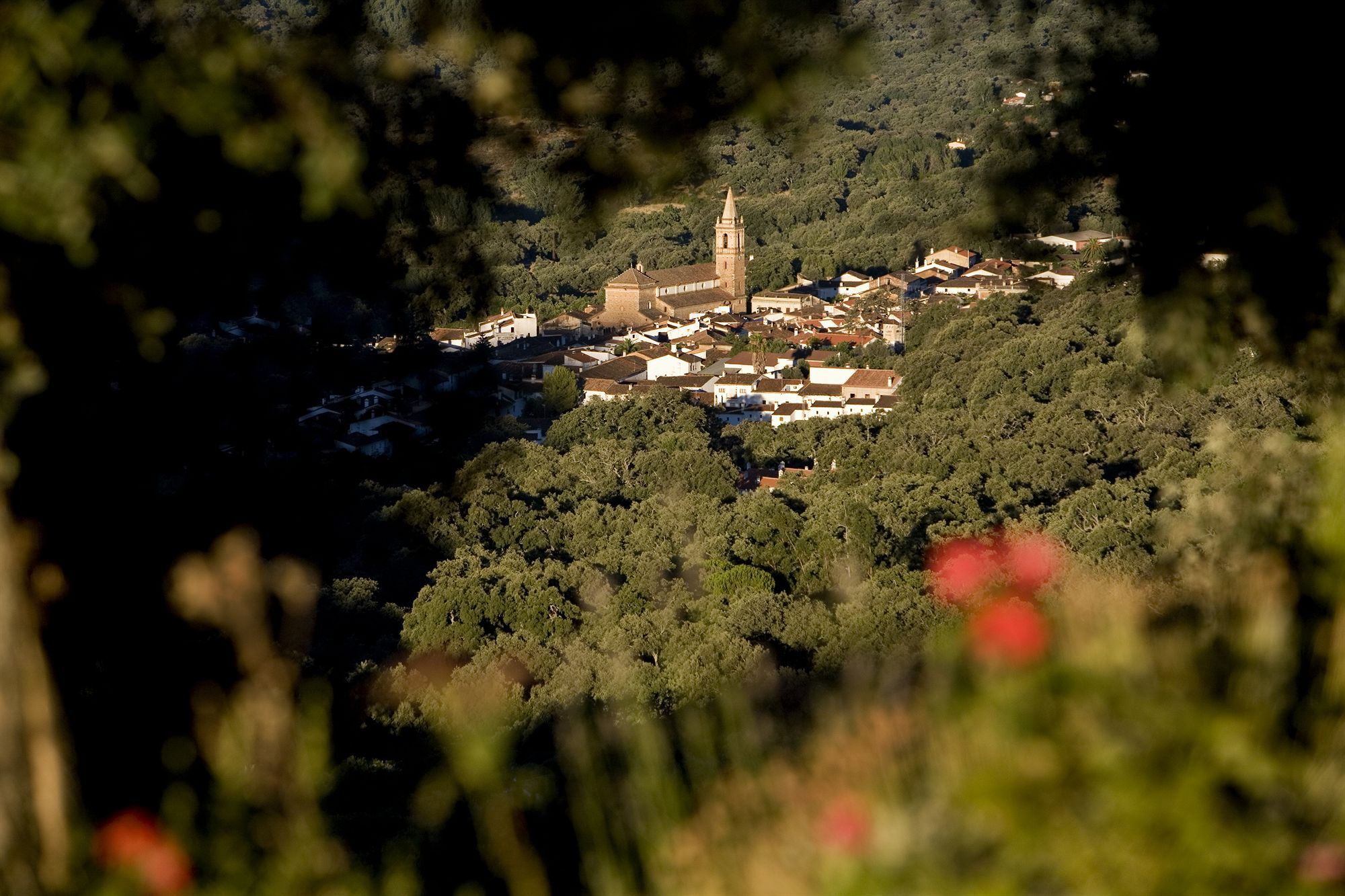 Rusticae Finca La Fronda Alájar Exteriör bild